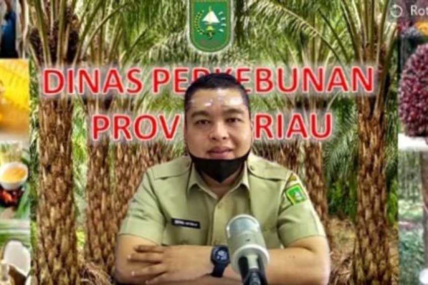 Harga Sawit di Riau Termahal Kedua di Indonesia