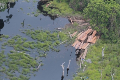 Jambi-Riau Jalin Kerja Sama Pengelolaan Hutan