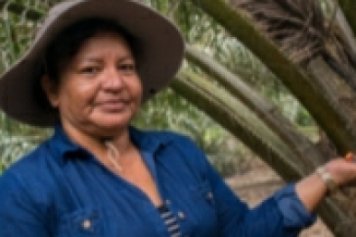 Nasib Petani di Peru pun Berubah Karena Sawit